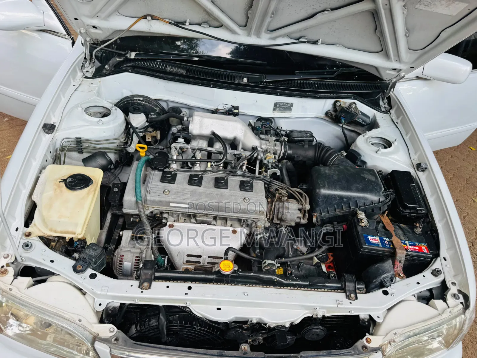 Toyota Corolla 1998 White