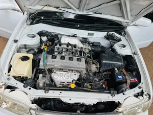 Toyota Corolla 1998 White