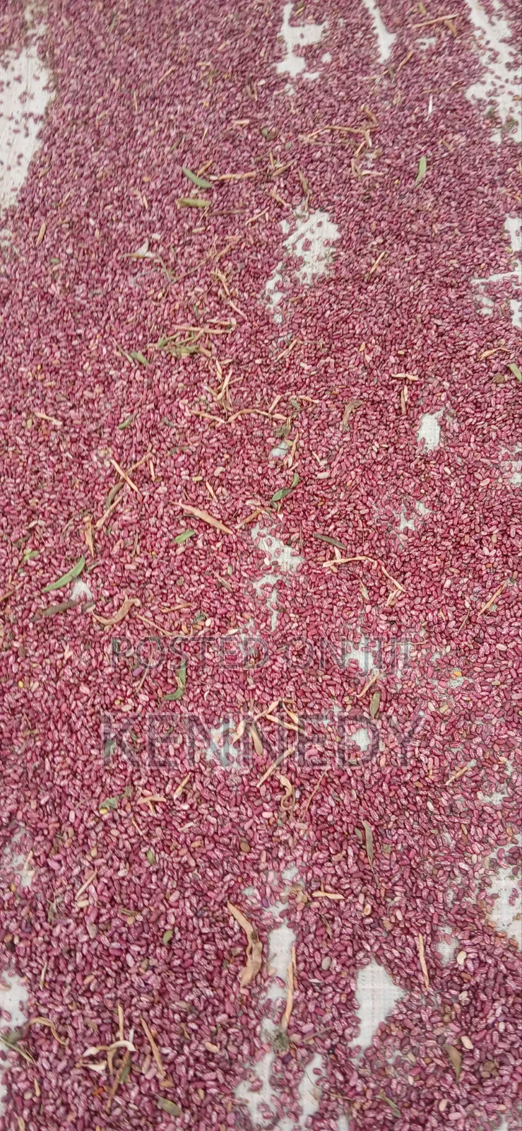 Kennice Cereal and Legumes