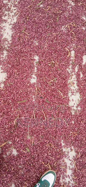 Kennice Cereal and Legumes