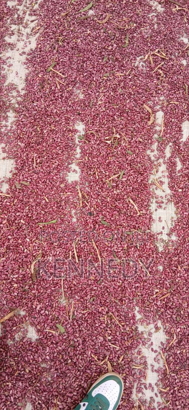 Kennice Cereal and Legumes - thumbnail 2