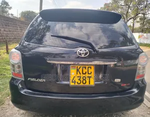 Toyota Corolla Fielder 2009 Black