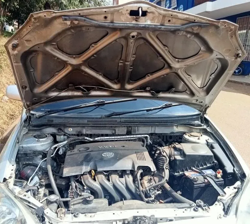 Toyota Allex 2006 Silver