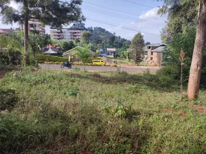 Plot for Sale