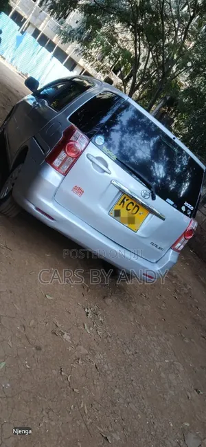 Toyota Raum 2008 Silver