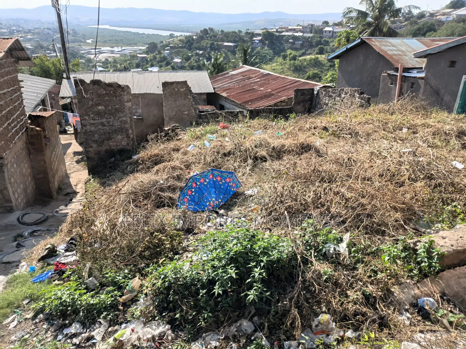 Residential Plot (Land)