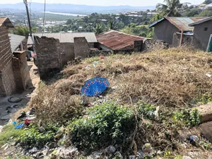 Residential Plot (Land)