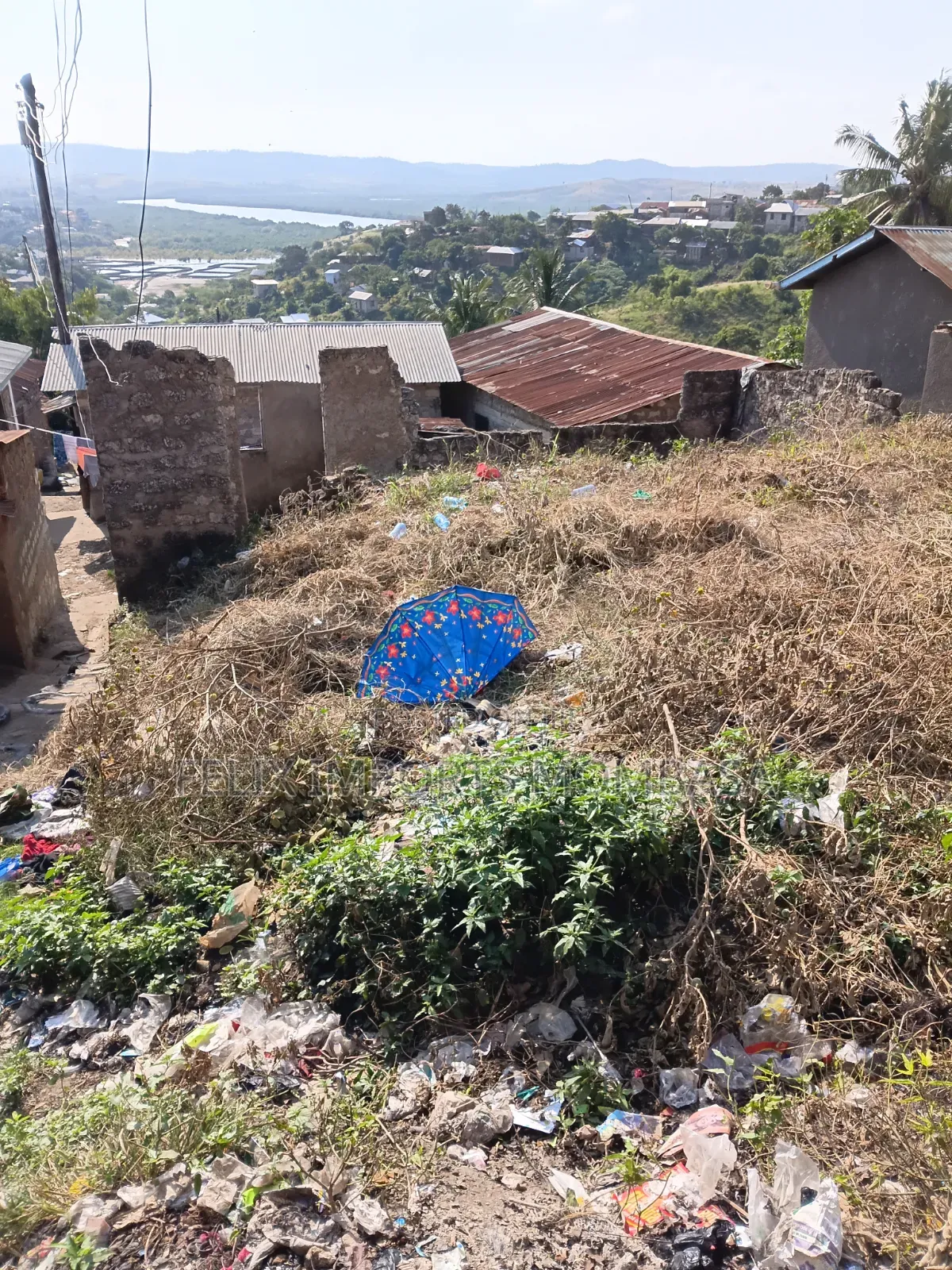 Residential Plot (Land)