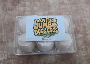 Premium Jumbo Duck Eggs