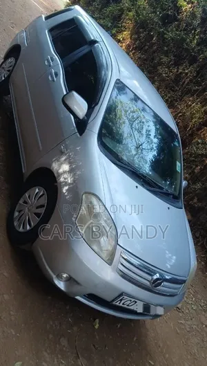 Toyota Raum 2008 Silver