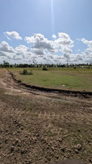 Mariakani Beauty. Kibao Kiche