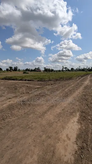 Mariakani Beauty. Kibao Kiche