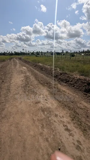 Mariakani Beauty. Kibao Kiche