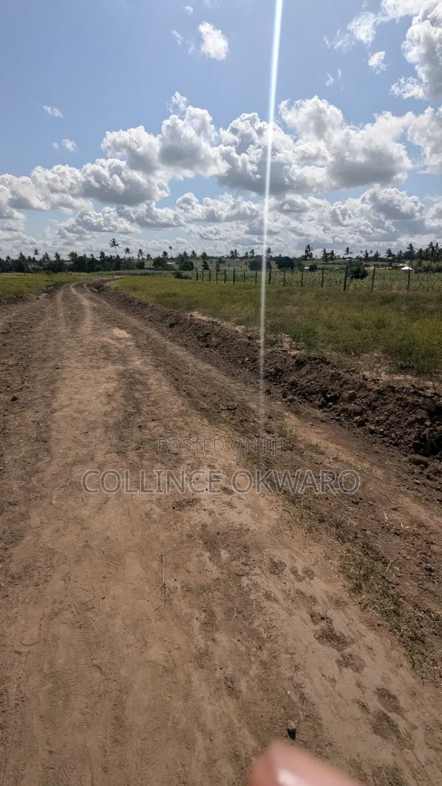 Mariakani Beauty. Kibao Kiche