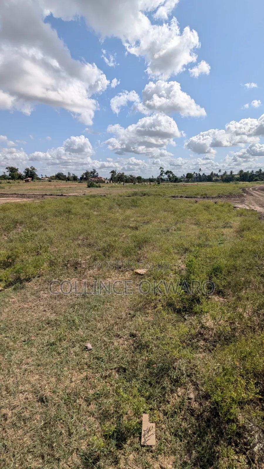 Mariakani Beauty. Kibao Kiche
