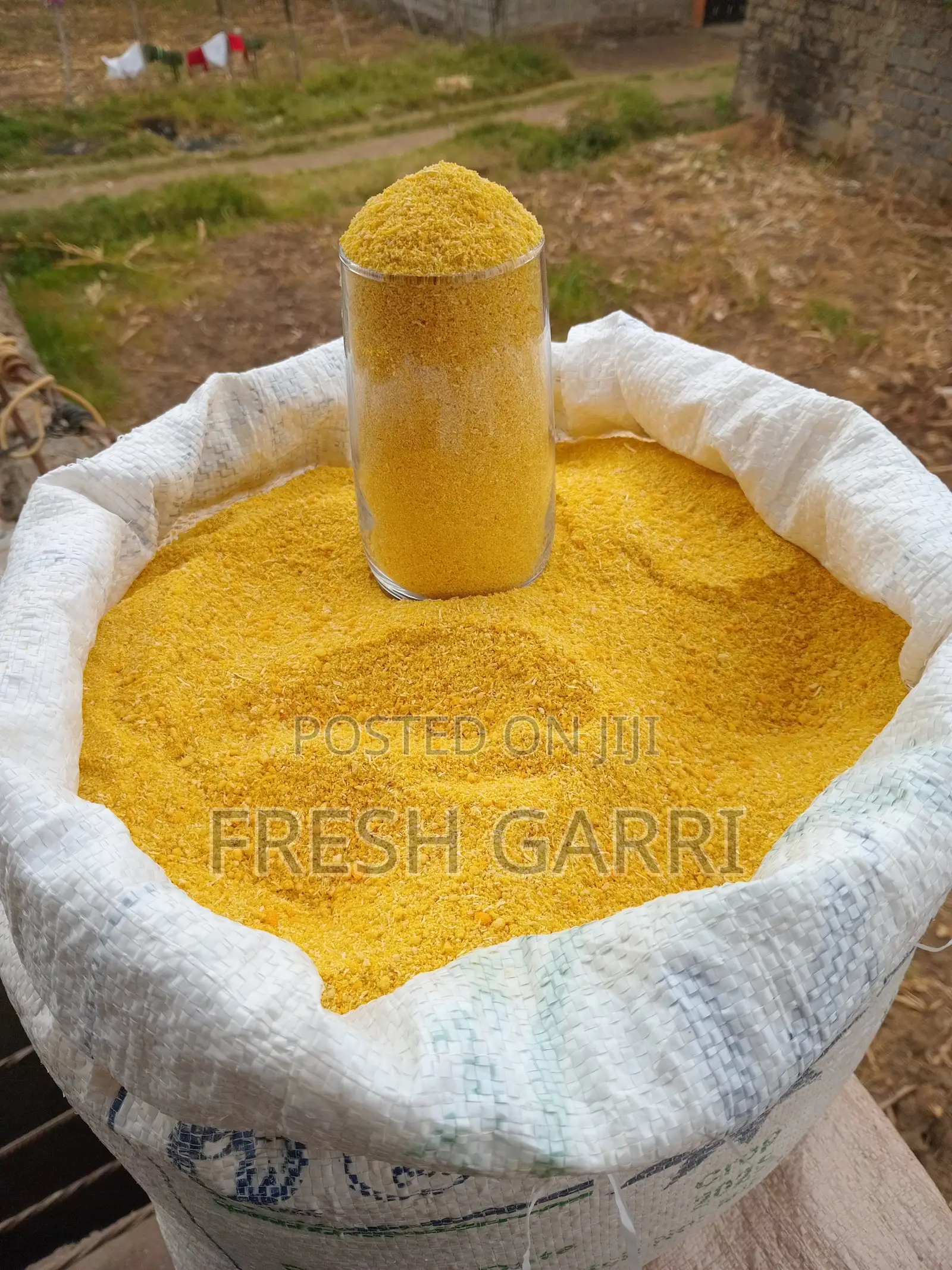 Yellow and White Garri for Sale
