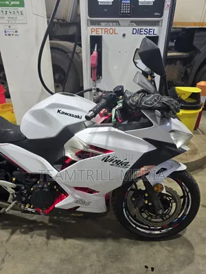 Kawasaki Ninja 400 2020 White