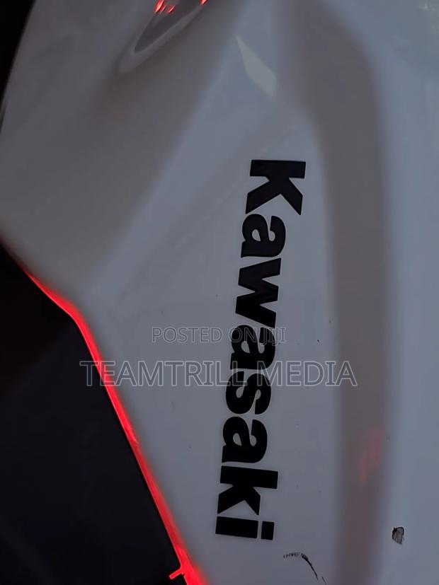 Kawasaki Ninja 400 2020 White - thumbnail 9