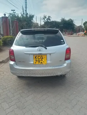 Toyota Corolla Fielder 2009 Gray