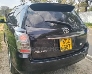 Toyota Corolla Fielder 2009 Black