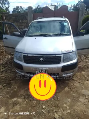 Toyota Succeed 2018 Silver