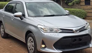 Toyota Axio 2020 Silver