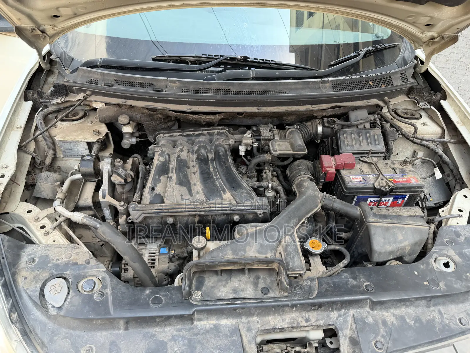 Nissan Sylphy 2011 White