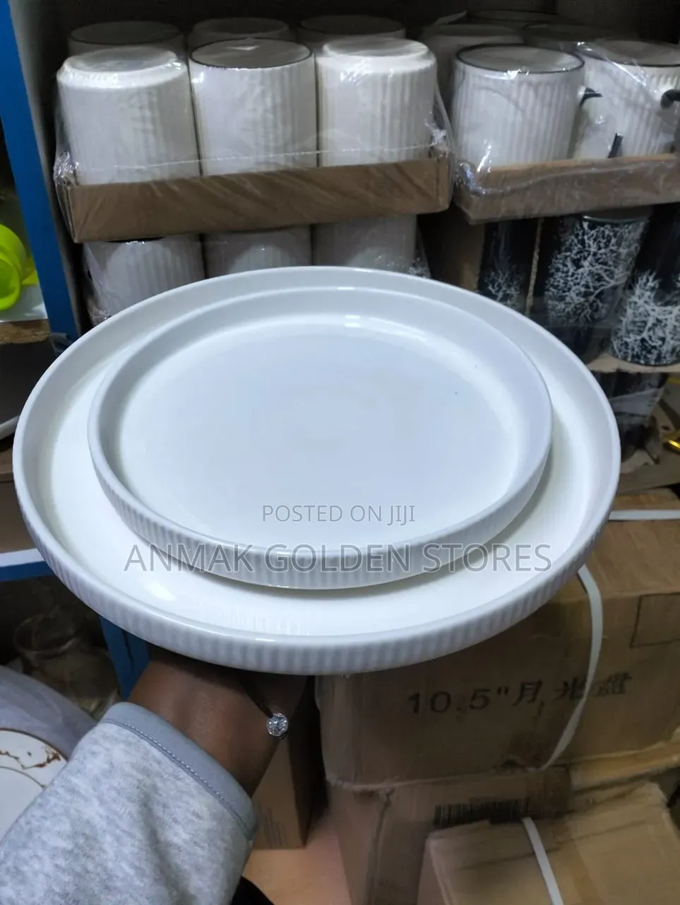 6pcs Dinner Plates