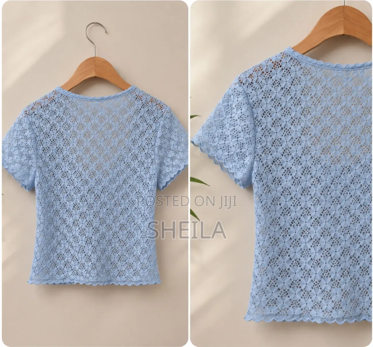 Ladies Sky Blue Floral Lace Crop Top