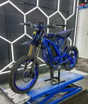 H Power mini 2 China 2019 Brown
