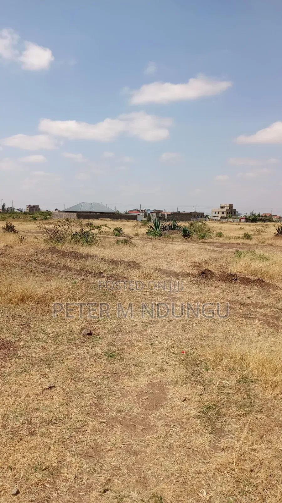 Prime -50*100 Plots Touching Juja- Juja Farm Tarmac Road