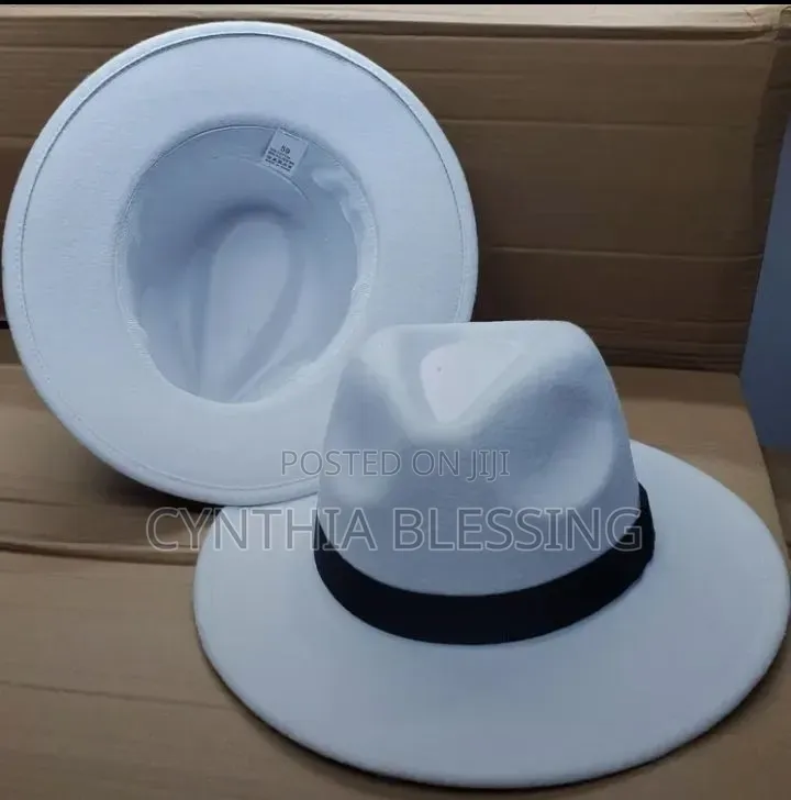 Fashion Fedora Hats_ Brown