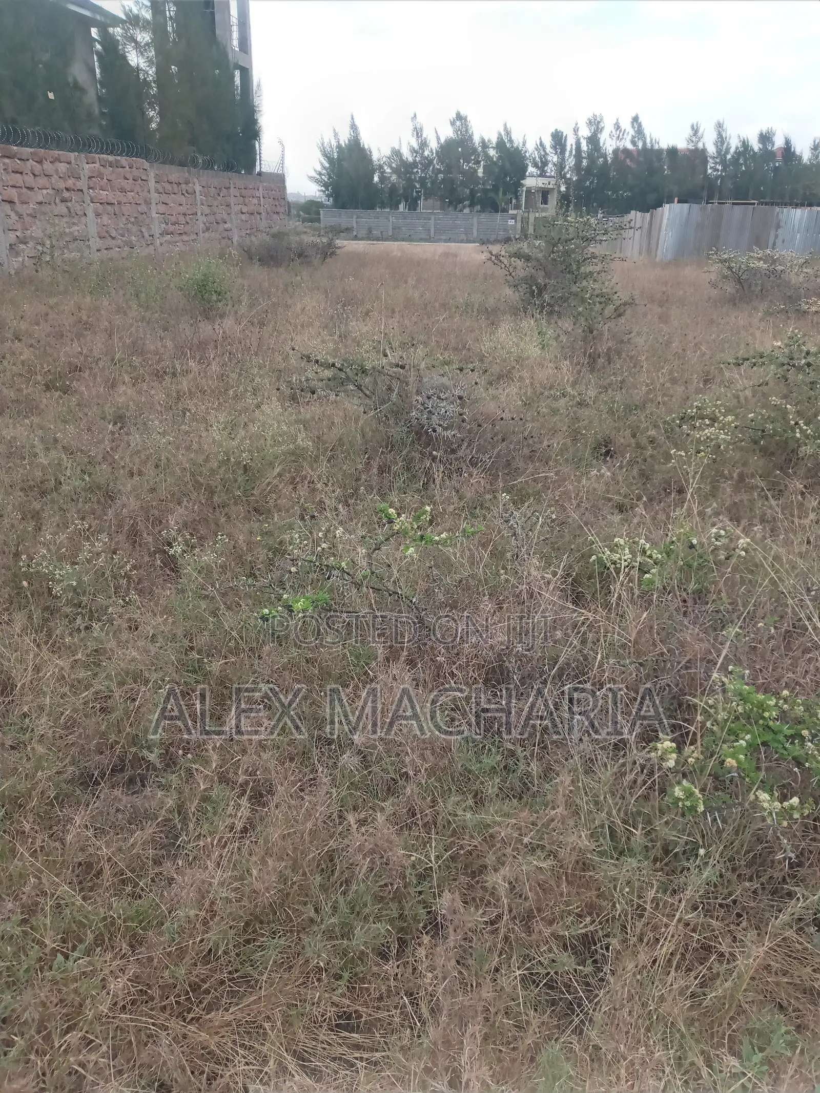 Kitengela Chuna Quarter Acre (100×100)