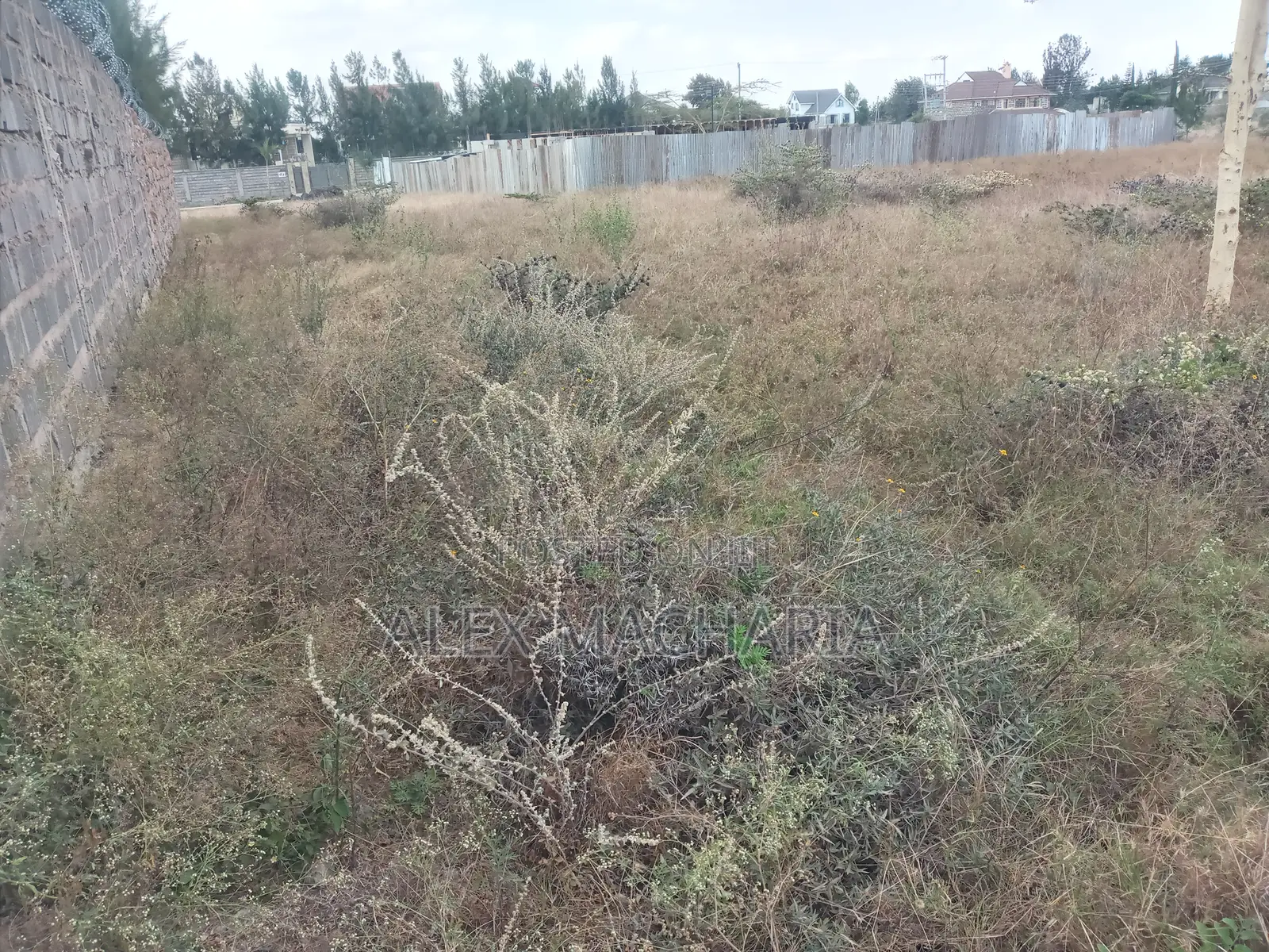 Kitengela Chuna Quarter Acre (100×100)