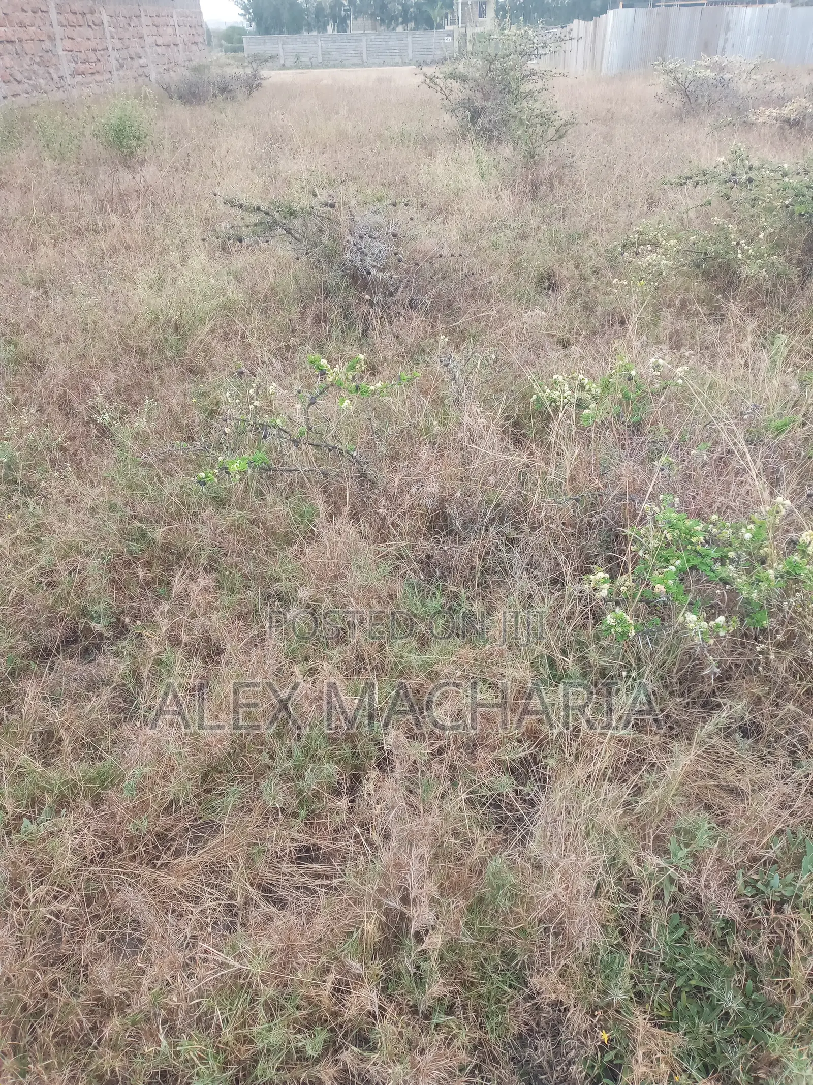 Kitengela Chuna Quarter Acre (100×100)