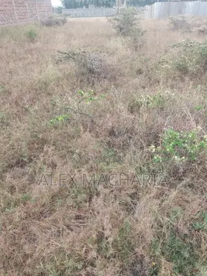 Kitengela Chuna Quarter Acre (100×100)