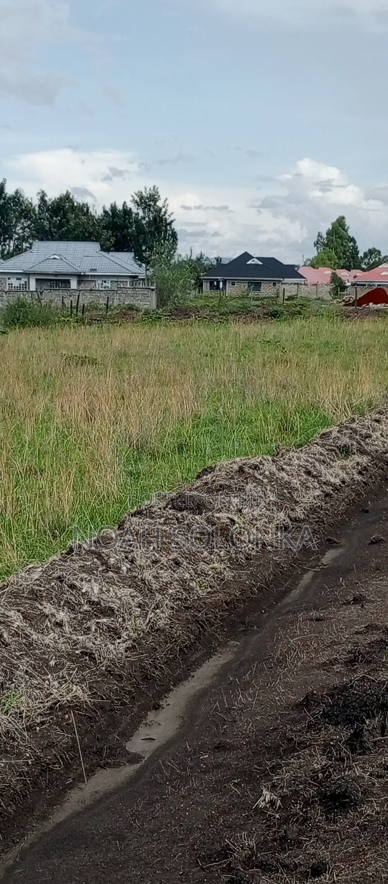 Prime Plots for Sale