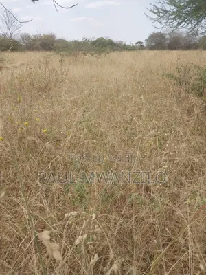 Kathonzweni Land on Sale