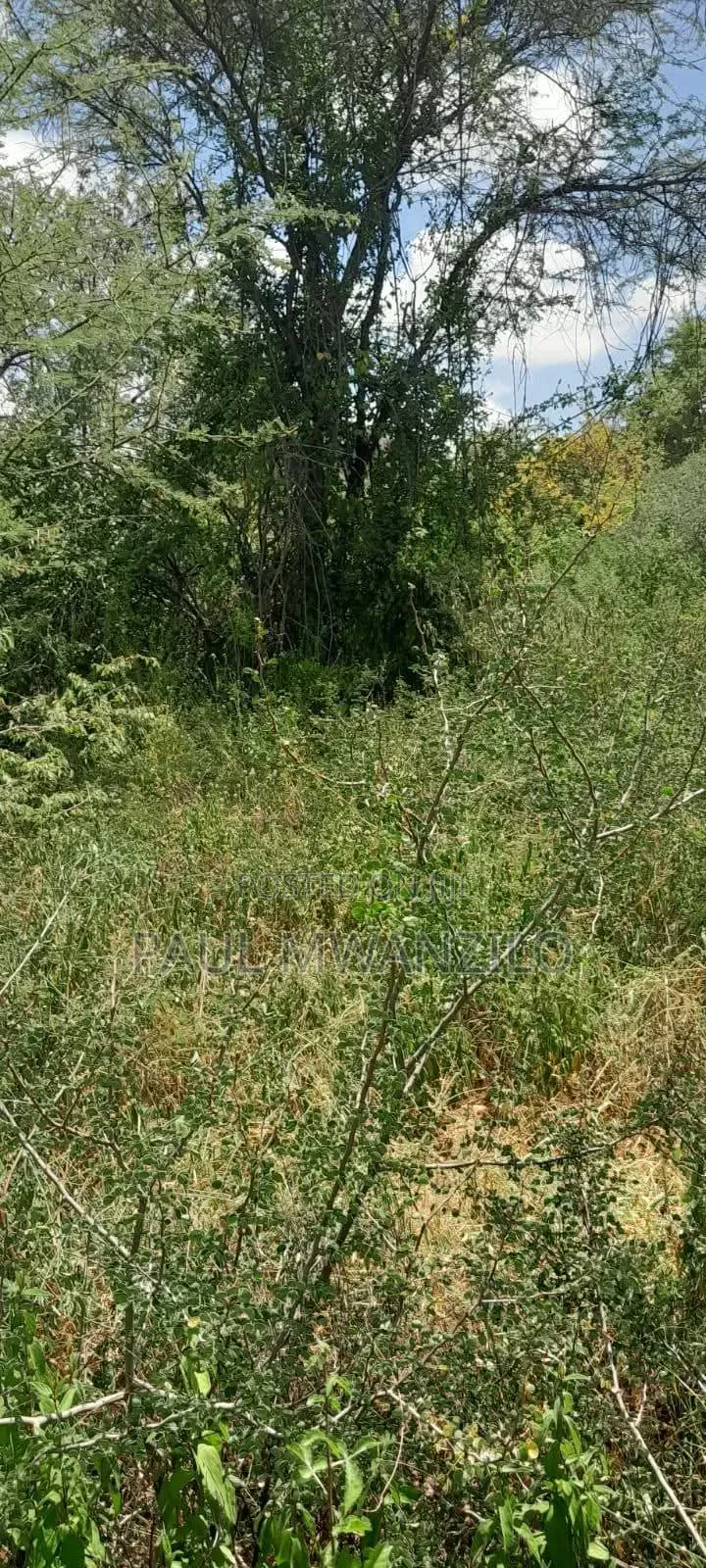 Ranching Land on Sale