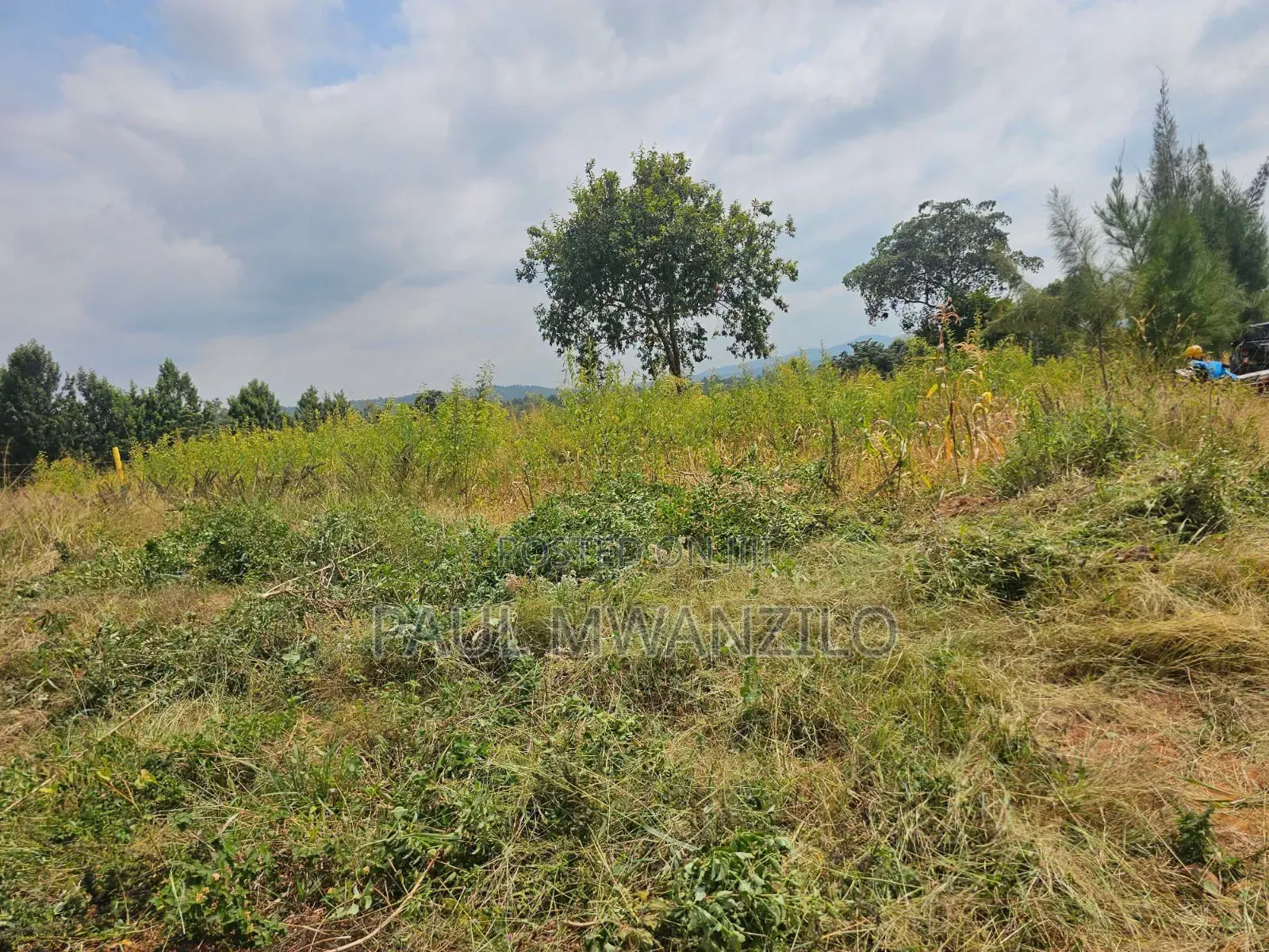 Ranching Land on Sale
