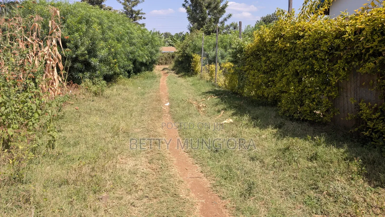 Quarter Acre Kagio Town