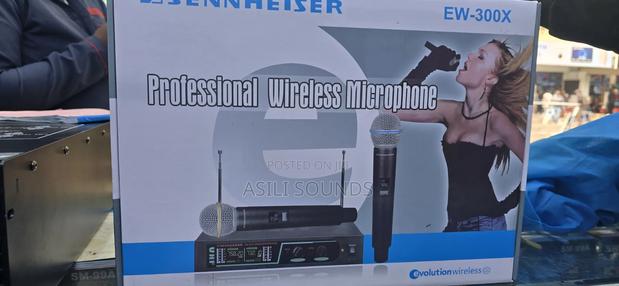 Sennheiser Micrpphone - main view