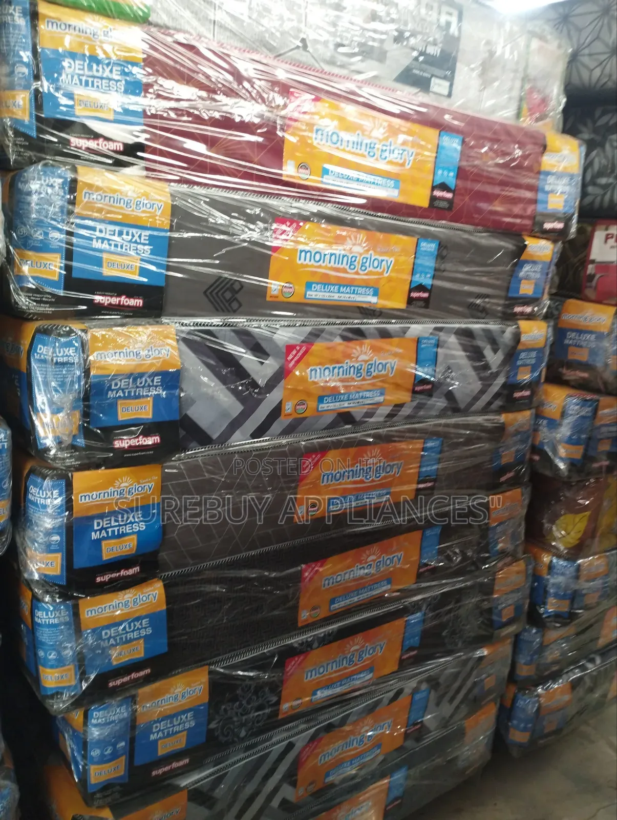 Morning Glory 4x6x8 Inch Plain High-Density Mattress
