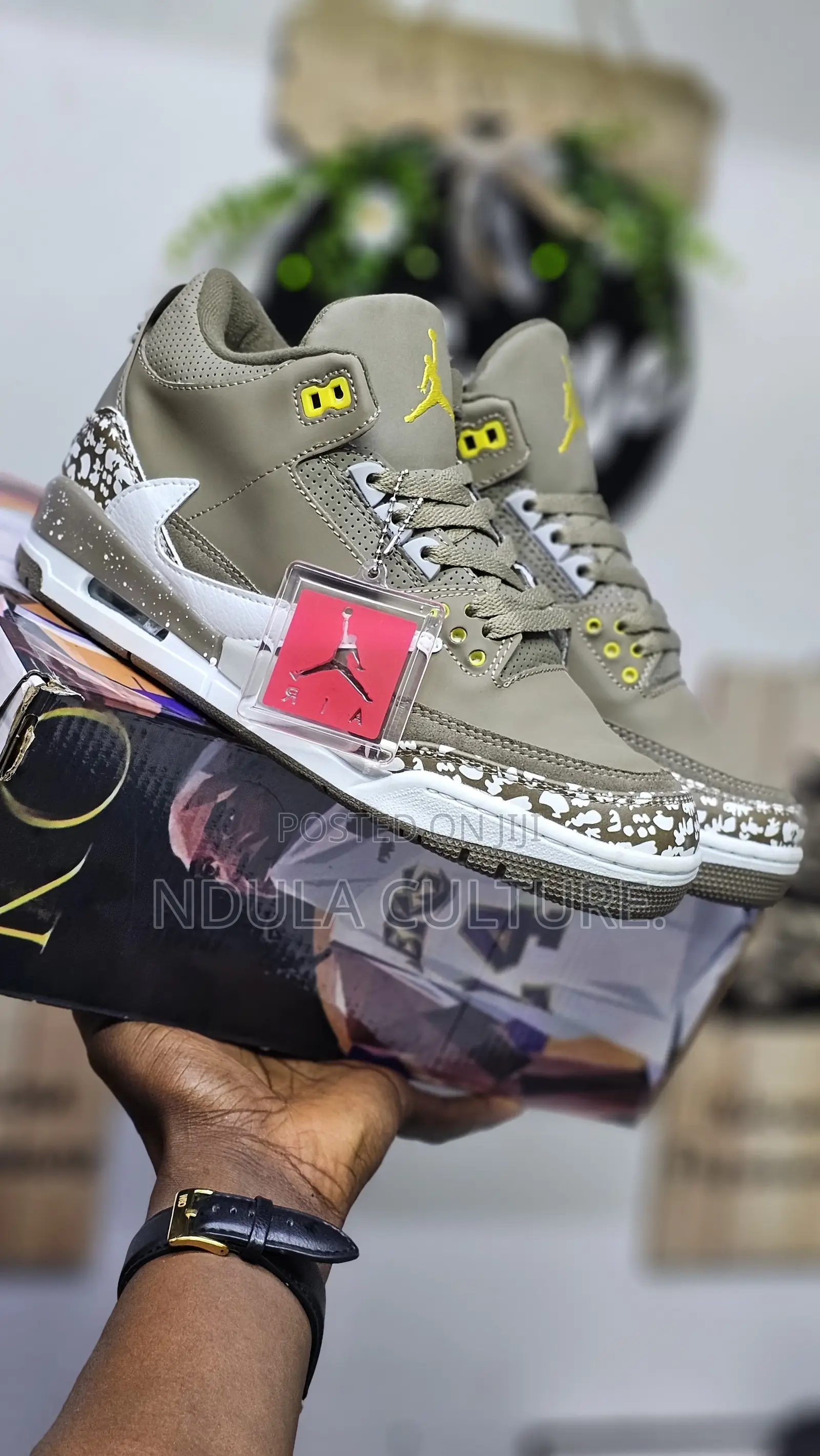 Jordan 3 Shoe Description