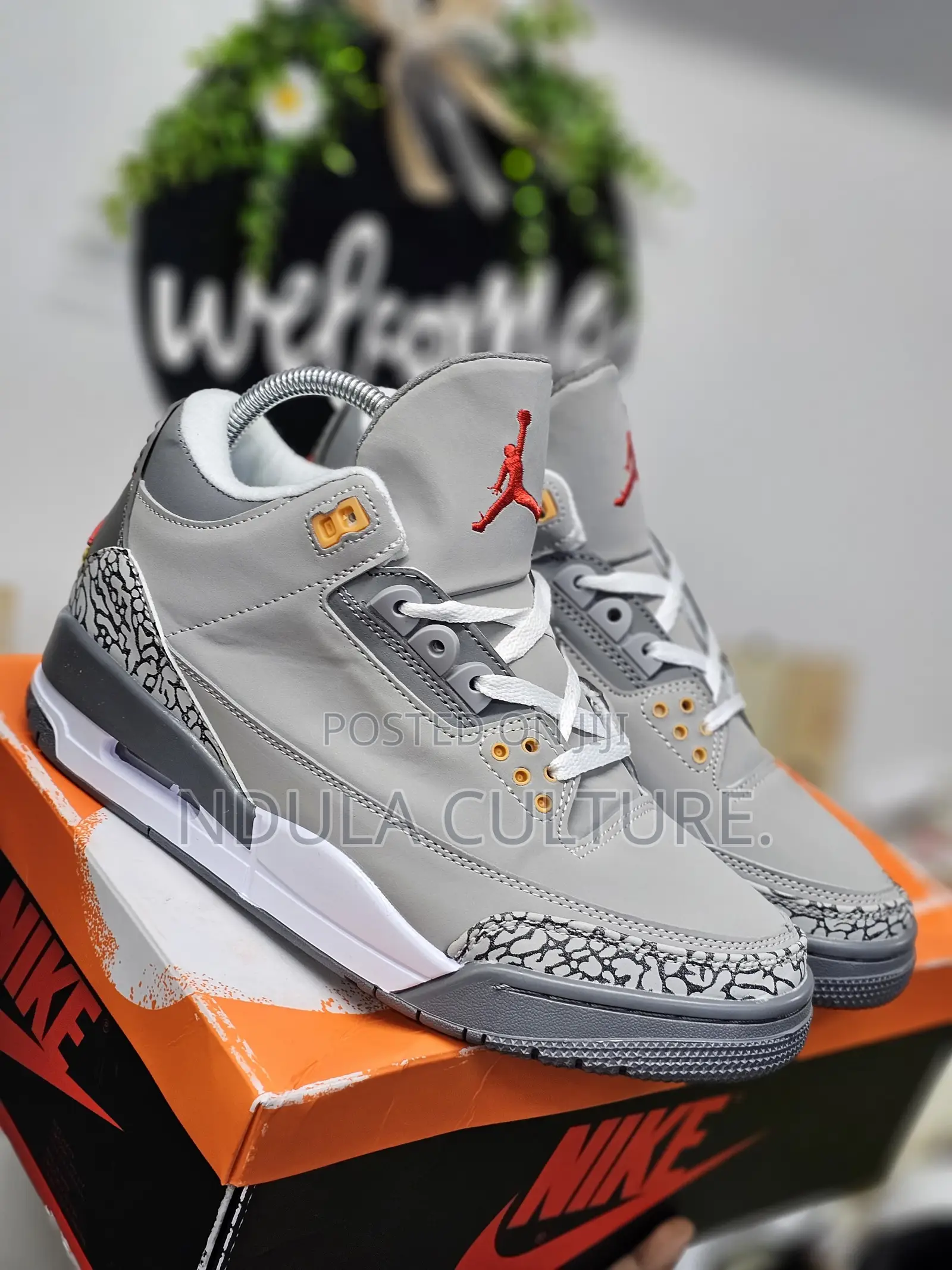Jordan 3 Shoe Description
