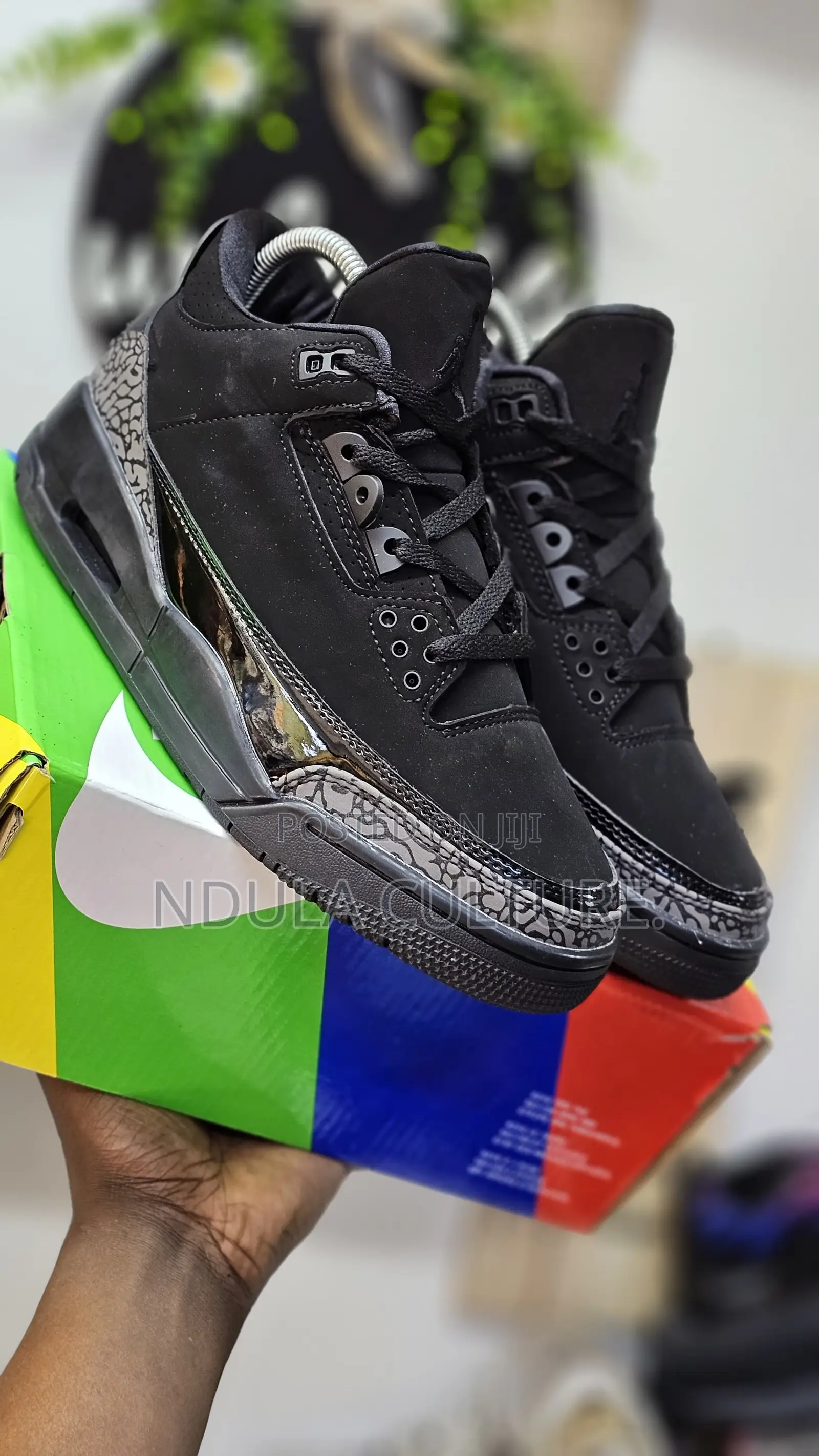 Jordan 3 Shoe Description