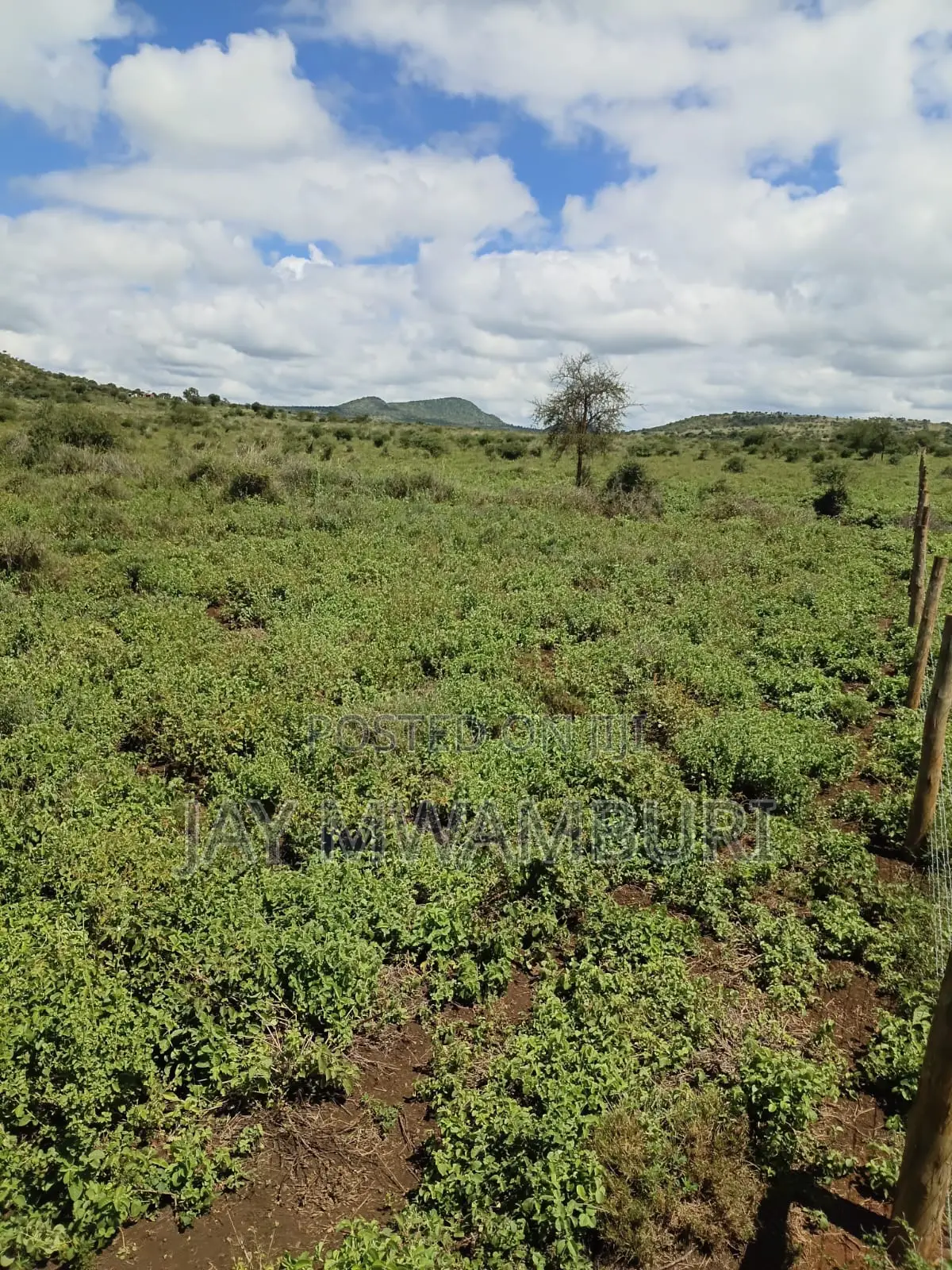 100 Acres Emali Makueni