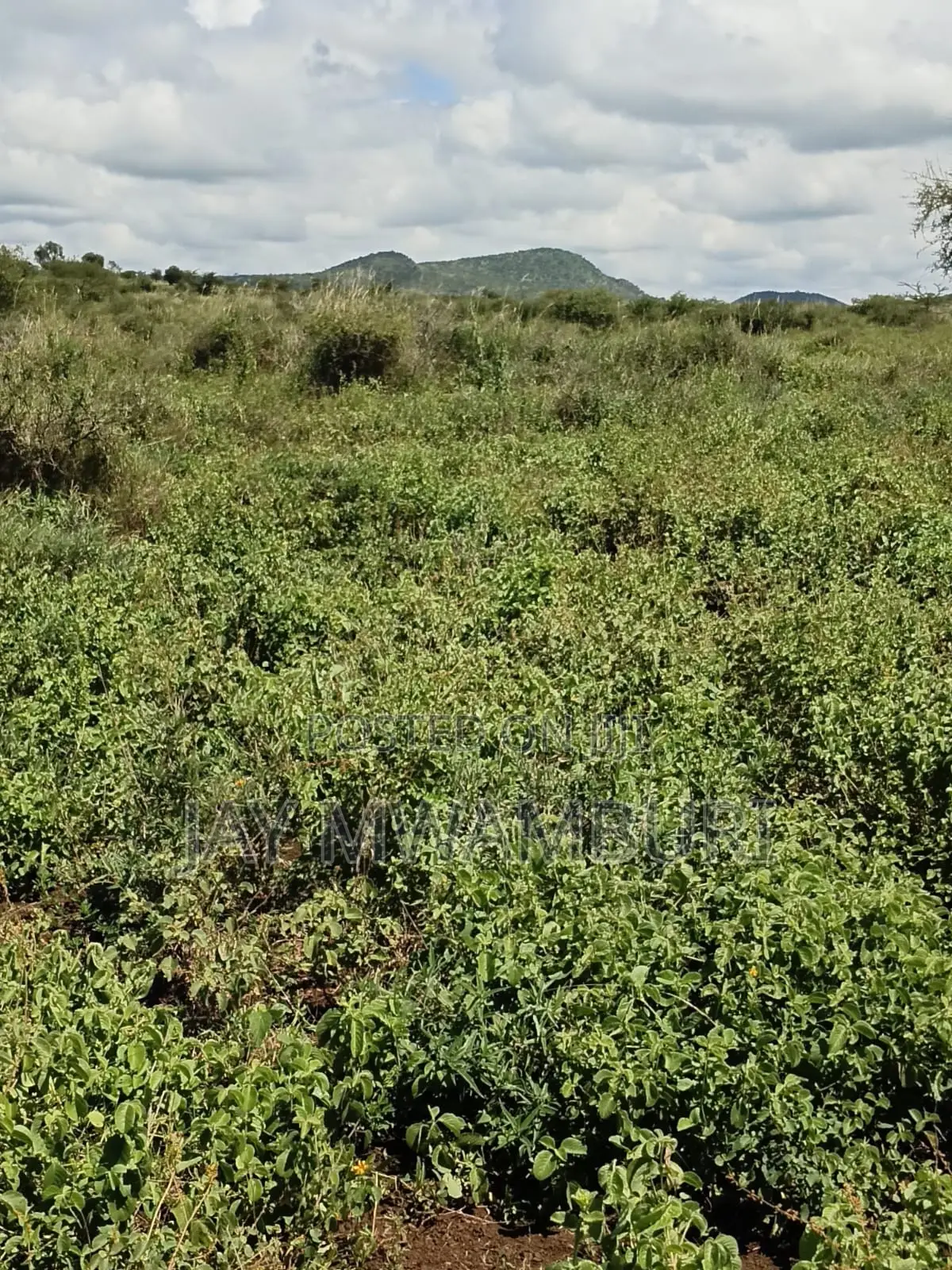 100 Acres Emali Makueni