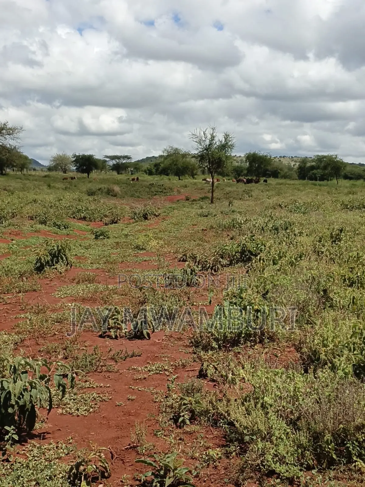 100 Acres Emali Makueni
