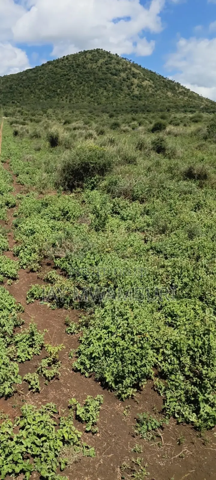 100 Acres Emali Makueni